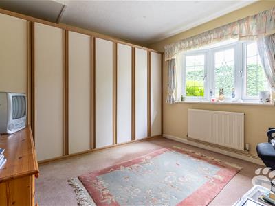 Picture 21